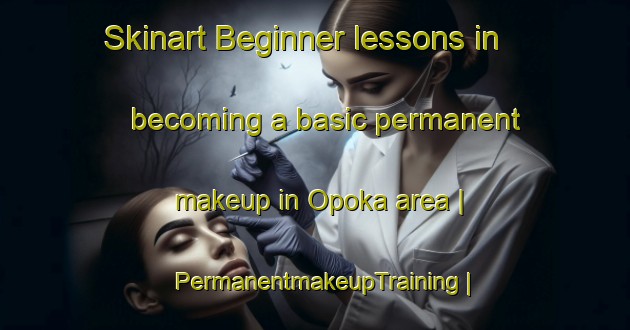 Skinart Beginner lessons in becoming a basic permanent makeup in Opoka area | PermanentmakeupTraining | PermanentmakeupClasses | SkinartTraining-Poland